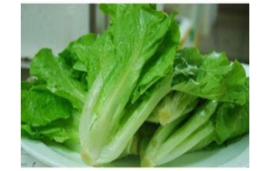 景德鎮(zhèn)江西蔬菜價格