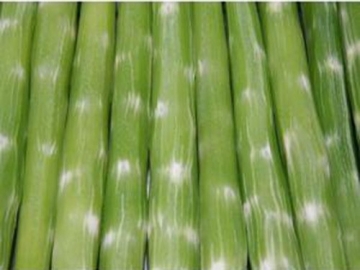 上饒江西蔬菜價格