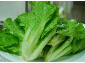 上饒江西蔬菜價格