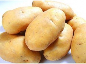 上饒江西蔬菜批發(fā)配送