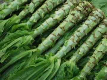 上饒江西蔬菜配送價(jià)格