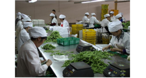 上饒江西食堂承包如何做到衛(wèi)生標準