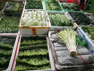 上饒江西蔬菜配送